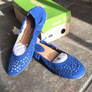 Earth Breeze Ballot Flat